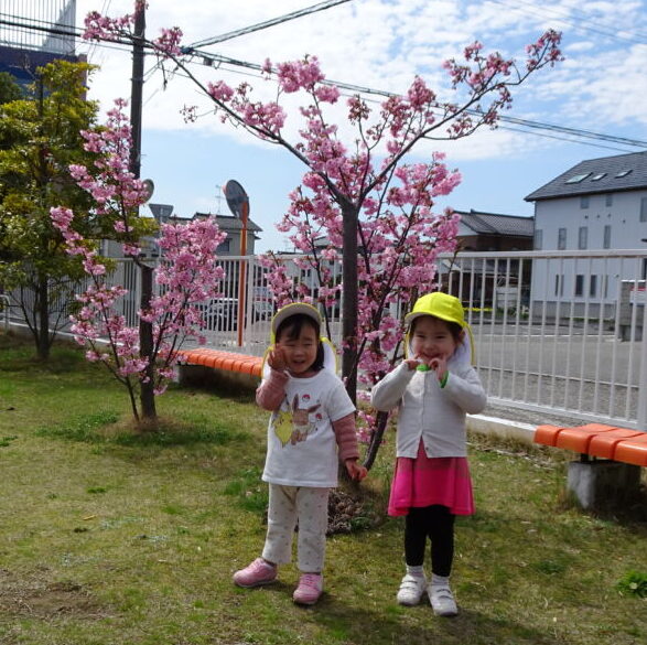 お花見をしました！