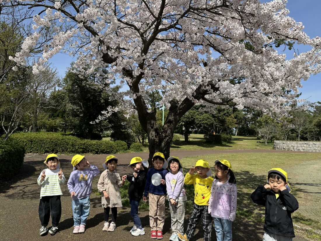 お花見園外保育に行って来ました！